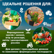 ПОСИЛЕНА ТЕПЛИЦЯ САДОВА 4Points 18м2 3х6м парник для городу дому дачі з вікнами, Зелений 41166 фото 9